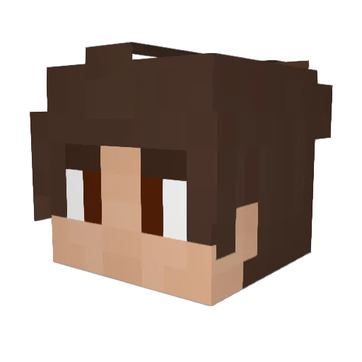 timelord03 Minecraft avatar head, 3D render