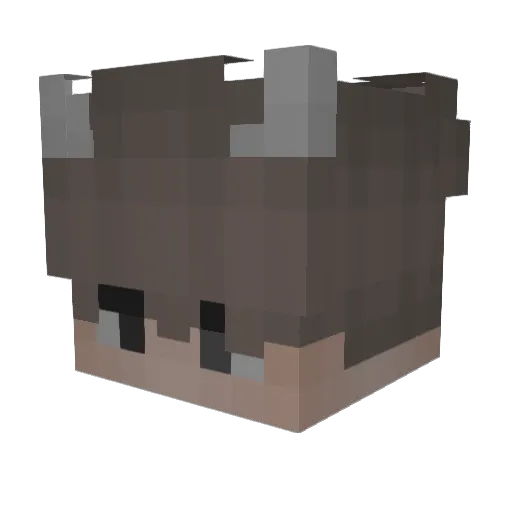 timemovesfast Minecraft avatar head, 3D render