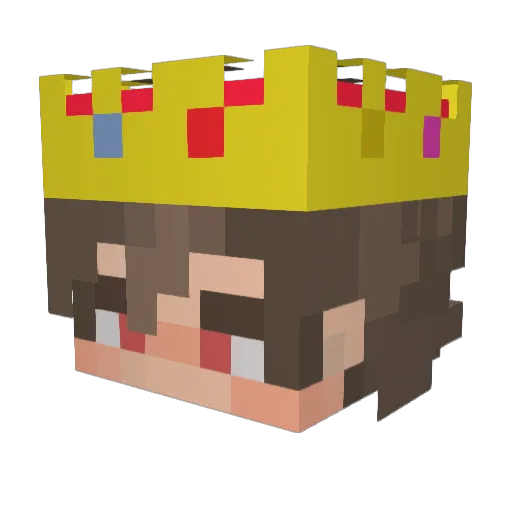 timerider92 Minecraft avatar head, 3D render