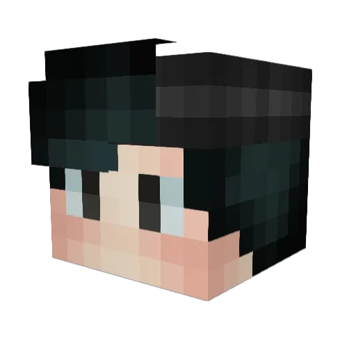 timestryder8 Minecraft avatar head, 3D render