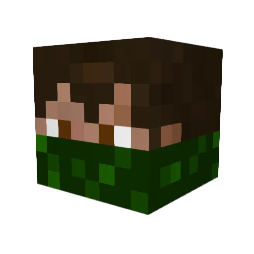 timgh2000 Minecraft avatar head, 3D render