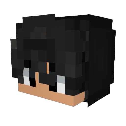 timik11 Minecraft avatar head, 3D render