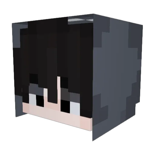 timing_001 Minecraft avatar head, 3D render