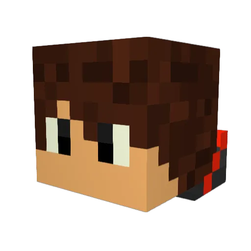 timmaeaeae Minecraft avatar head, 3D render