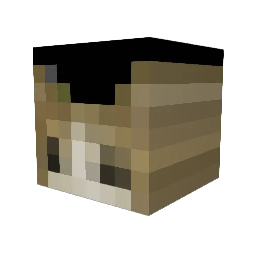 timmaiavesgo Minecraft avatar head, 3D render