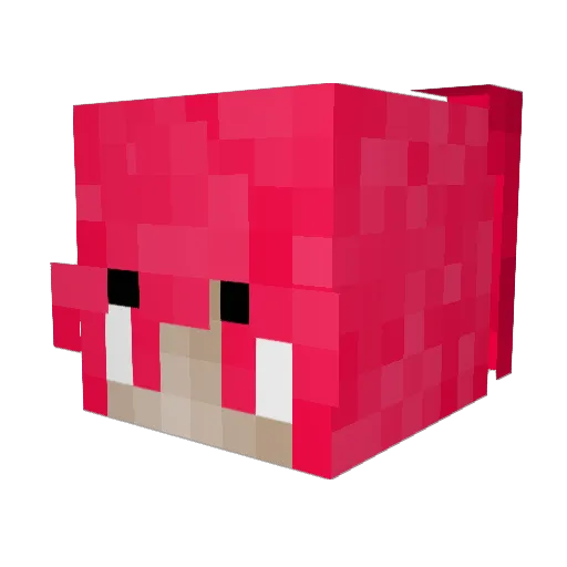 timmizz Minecraft avatar head, 3D render