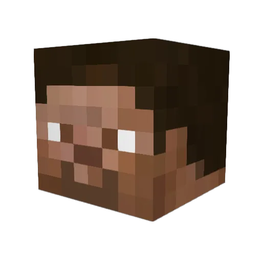 timmme98 Minecraft avatar head, 3D render