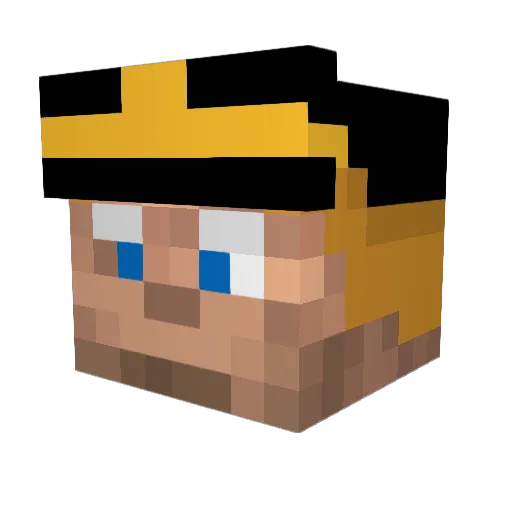 timmmehhh Minecraft avatar head, 3D render