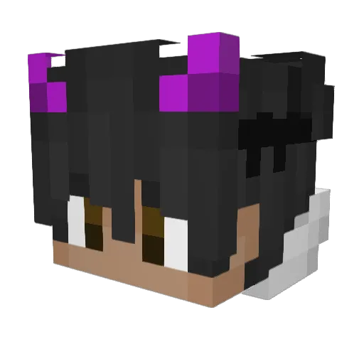 timmy0006 Minecraft avatar head, 3D render