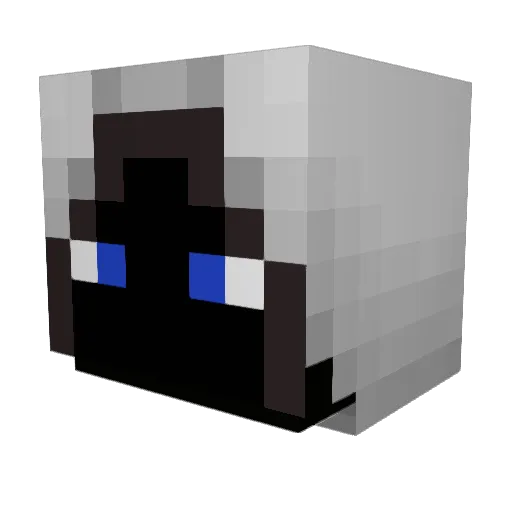 timmy1899 Minecraft avatar head, 3D render