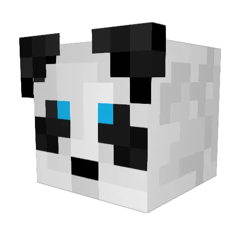 timmy2name Minecraft avatar head, 3D render