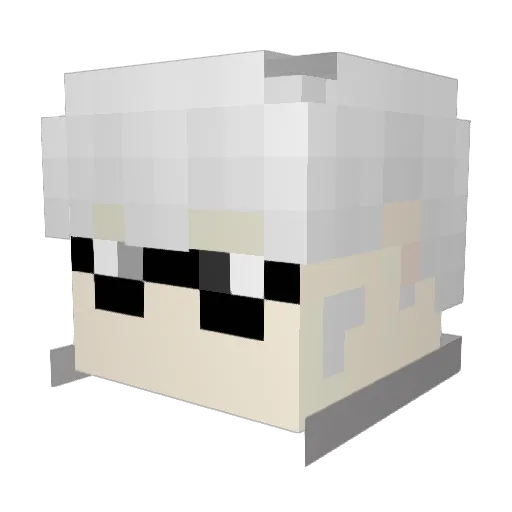 timmy7777777 Minecraft avatar head, 3D render