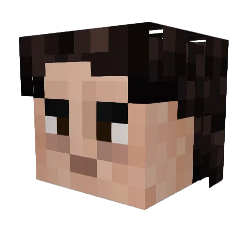 timmy7jc Minecraft avatar head, 3D render