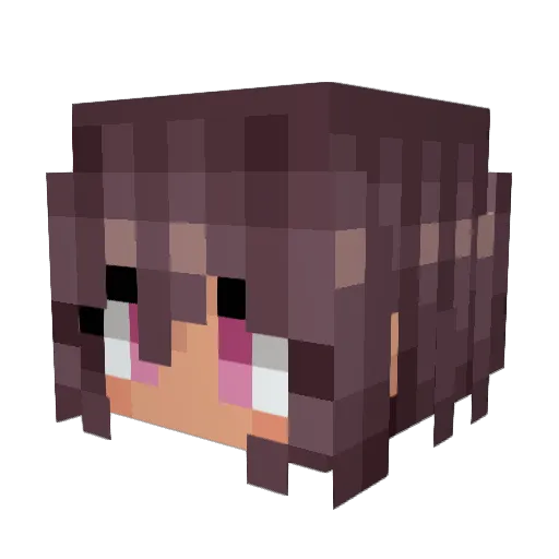 timmy985 Minecraft avatar head, 3D render