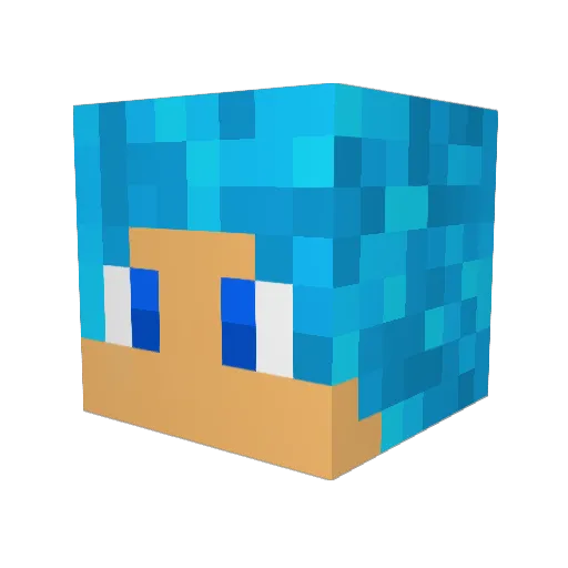 timmyD321 Minecraft avatar head, 3D render