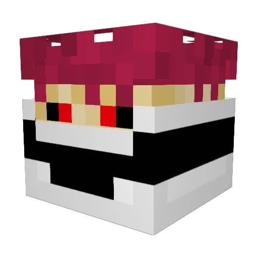 timmybeast999 Minecraft avatar head, 3D render
