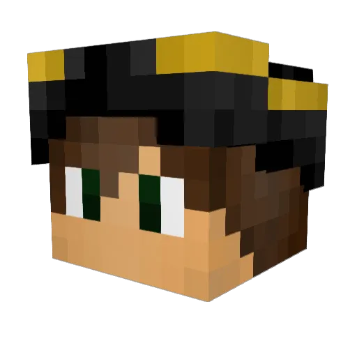 timmybrow1 Minecraft avatar head, 3D render