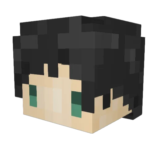 timmychan1235 Minecraft avatar head, 3D render