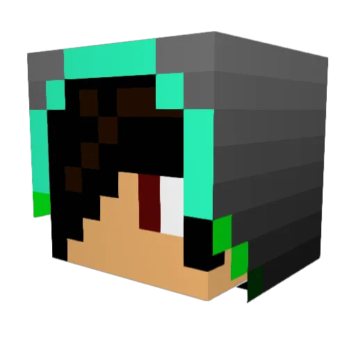 timmylee09 Minecraft avatar head, 3D render
