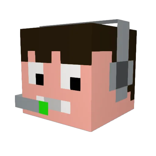 timmynator111 Minecraft avatar head, 3D render