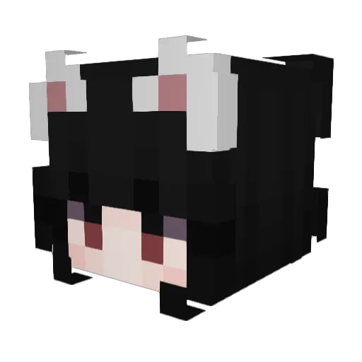timmysoohoo Minecraft avatar head, 3D render