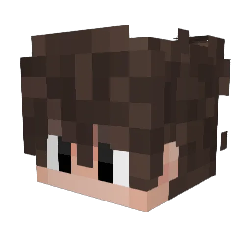 timoe1990 Minecraft avatar head, 3D render