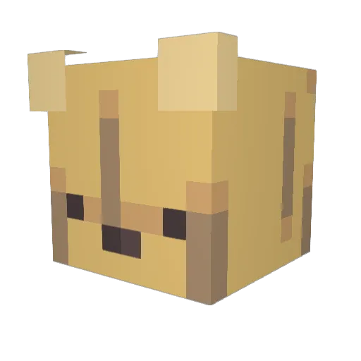 timothe2003 Minecraft avatar head, 3D render