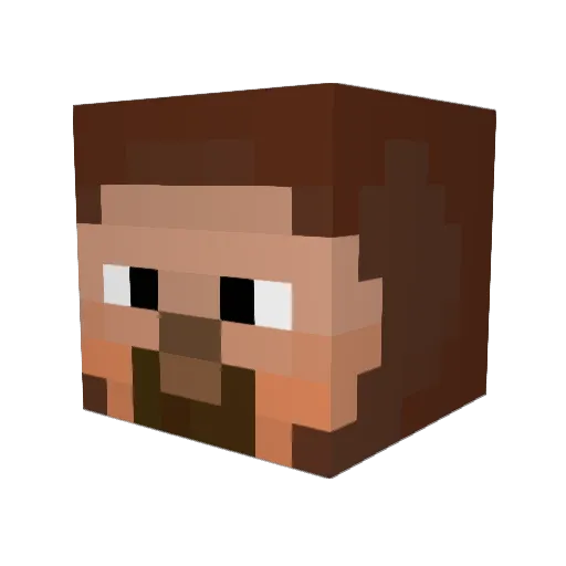 timp123 Minecraft avatar head, 3D render