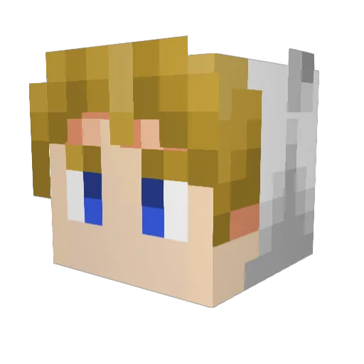 timparker04 Minecraft avatar head, 3D render