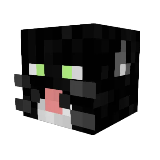 timr2000 Minecraft avatar head, 3D render