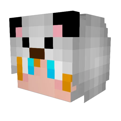 timr4 Minecraft avatar head, 3D render
