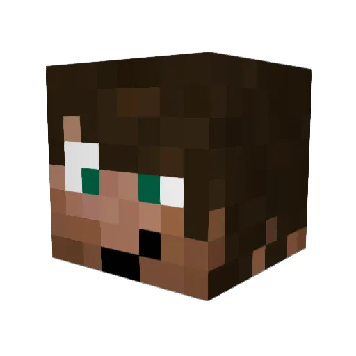 timthetinyhorse Minecraft avatar head, 3D render