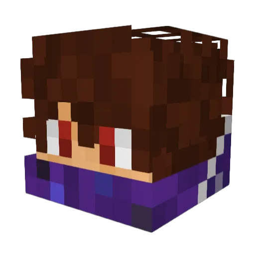 timvs2001 Minecraft avatar head, 3D render