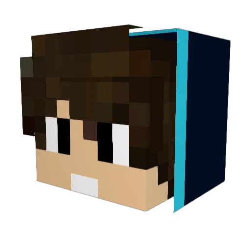 timwu6530 Minecraft avatar head, 3D render