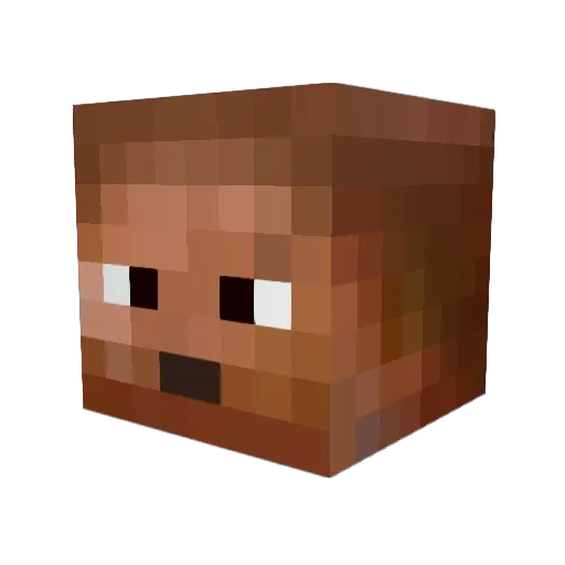 tin73 Minecraft avatar head, 3D render