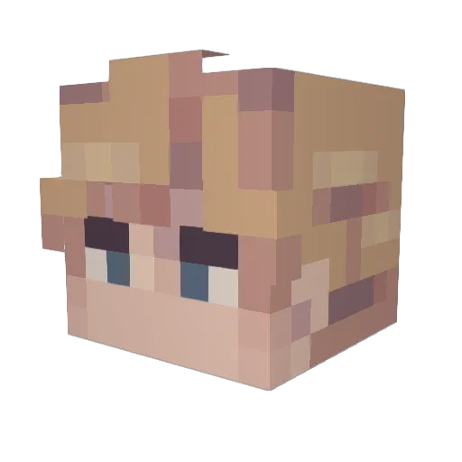 tin_cann Minecraft avatar head, 3D render