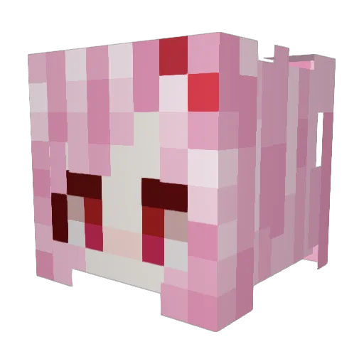 tinabell1024 Minecraft avatar head, 3D render