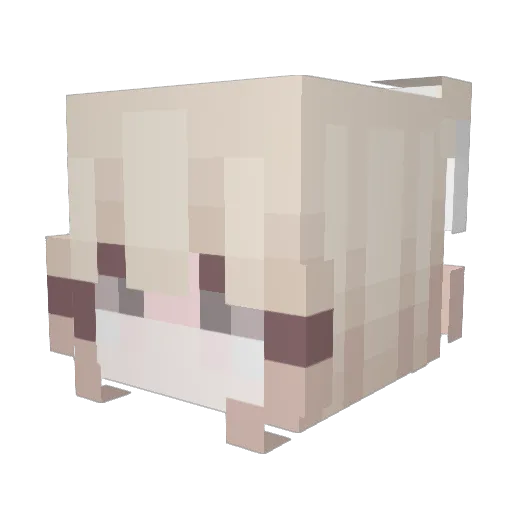 tinais Minecraft avatar head, 3D render
