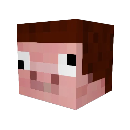 tinboxis Minecraft avatar head, 3D render