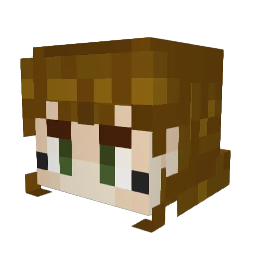 tincan28 Minecraft avatar head, 3D render