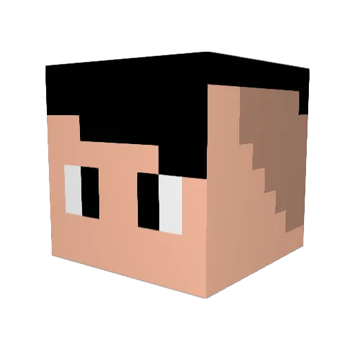 tincanrobo Minecraft avatar head, 3D render