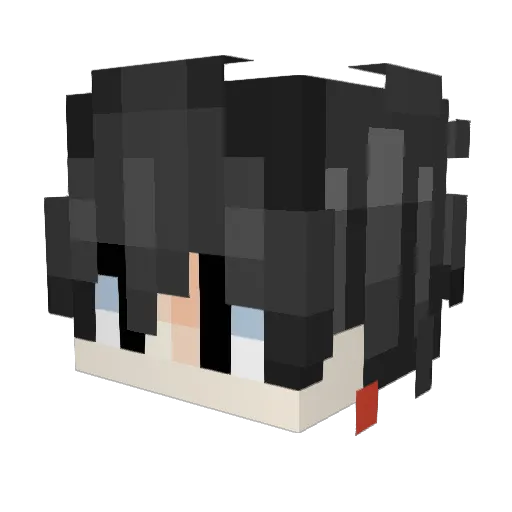 tincho2001 Minecraft avatar head, 3D render