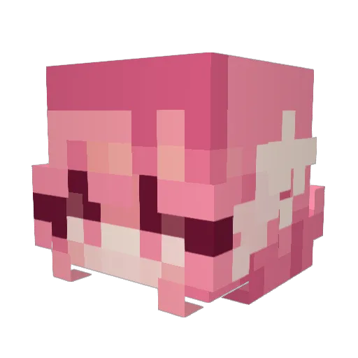 tinctrlz Minecraft avatar head, 3D render