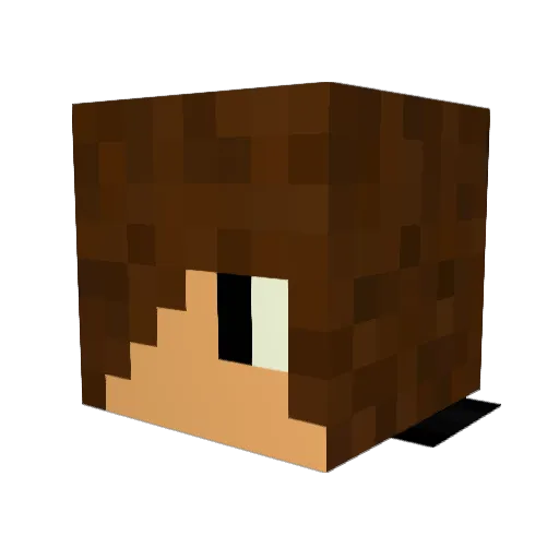 tindoj Minecraft avatar head, 3D render