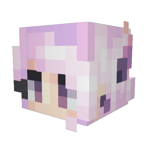 tinglytoo Minecraft avatar head, 3D render