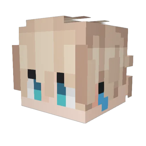 tinguin2007 Minecraft avatar head, 3D render