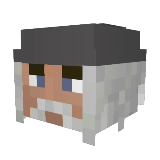 tinhead2100 Minecraft avatar head, 3D render