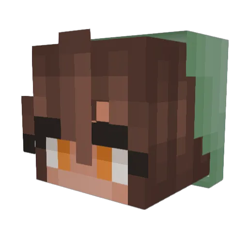 tiniturtle Minecraft avatar head, 3D render
