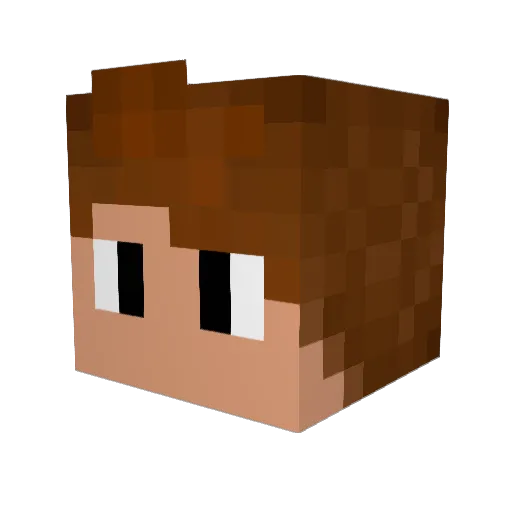 tinjuman Minecraft avatar head, 3D render