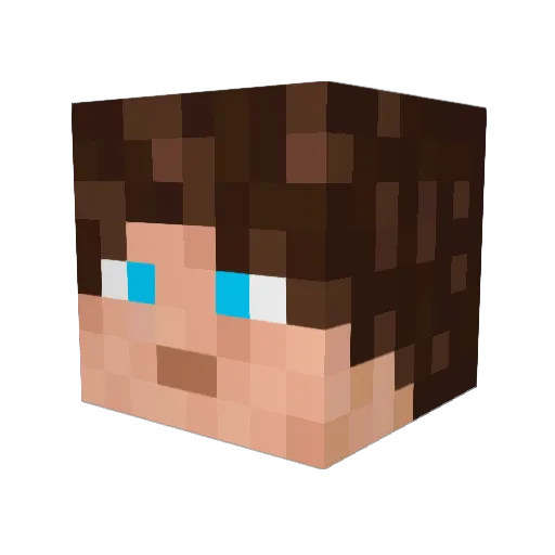 tinkblok Minecraft avatar head, 3D render